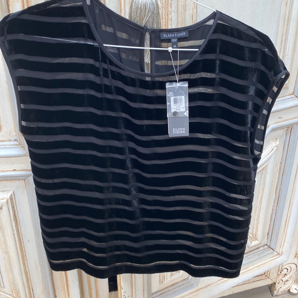 Eileen Fisher ballet neck cap sleeve velvet burnout top